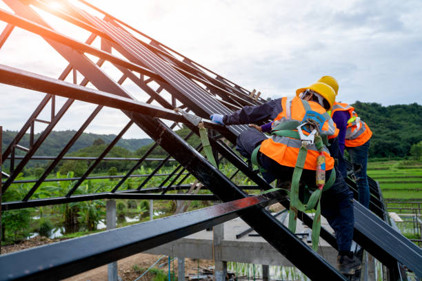 Best Storm Damage Roof Repair  in Waterloo, IL